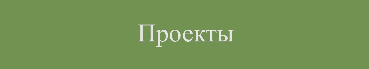 Проекты администрации