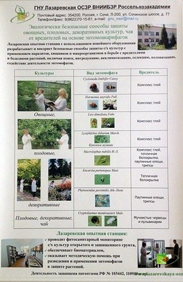 Лазаревская ОСЗР – филиал ФГБНУ ФНЦБЗР